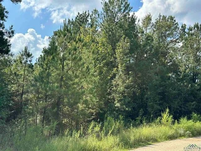 Vacant Land (10+ Acres) in De Berry TX - Texas, 75639