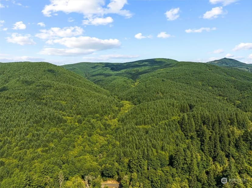 Vacant Land in Kelso