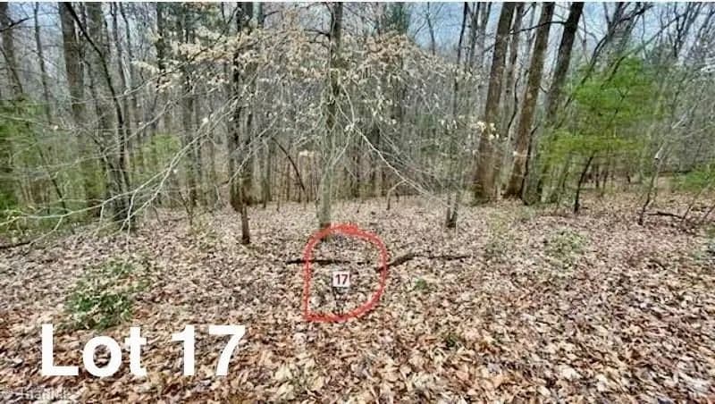 Vacant Land in Stuart - Stuart, Virginia, 24171