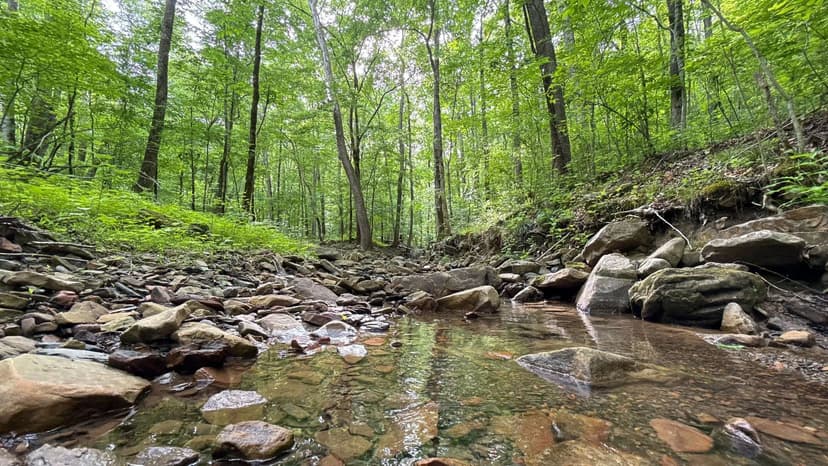 108 Acres| NW Georgia | Hunting & Recreation Land Near Chattanooga