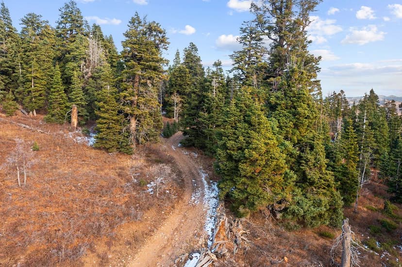 Vacant Land in Coalville