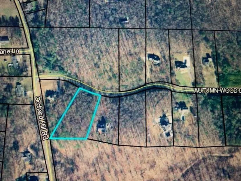 Lots & Land-Other in Summerville