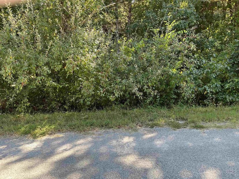 Lots & Land-Other in Cherokee Village