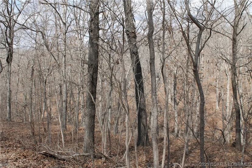 Lots & Land-Other in Edwards