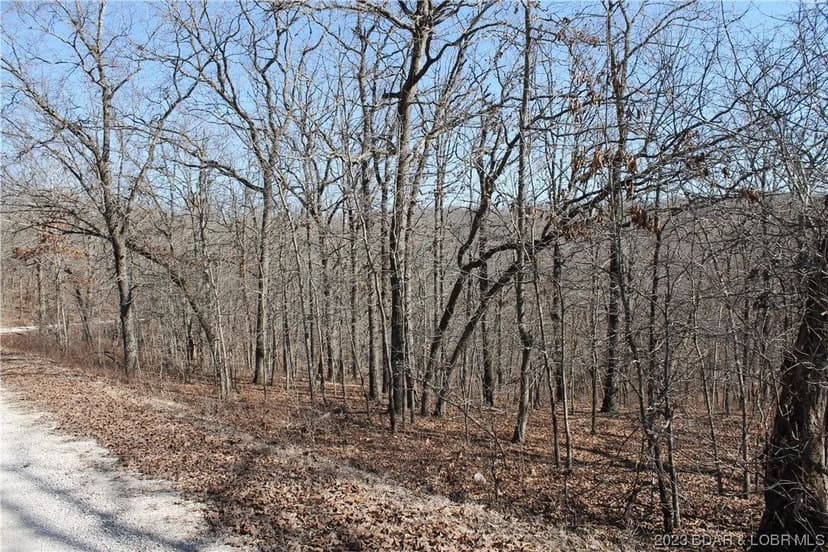 Lots & Land-Other in Edwards