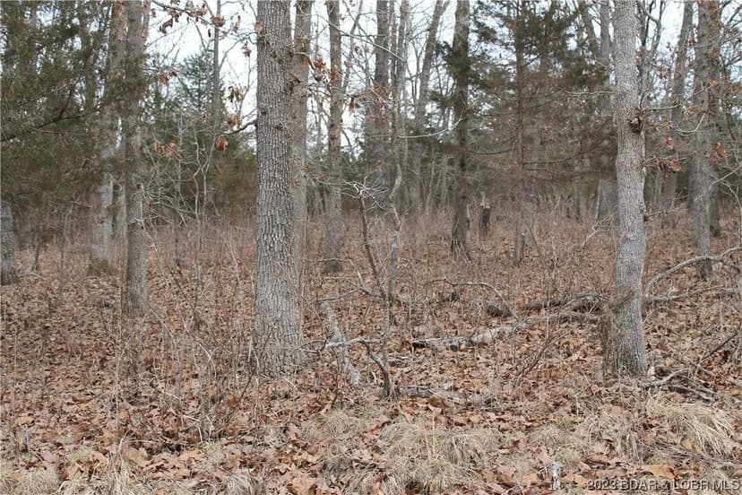 Lots & Land-Other in Edwards