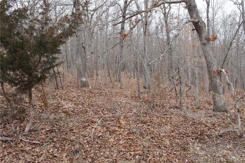 Lots & Land-Other in Edwards