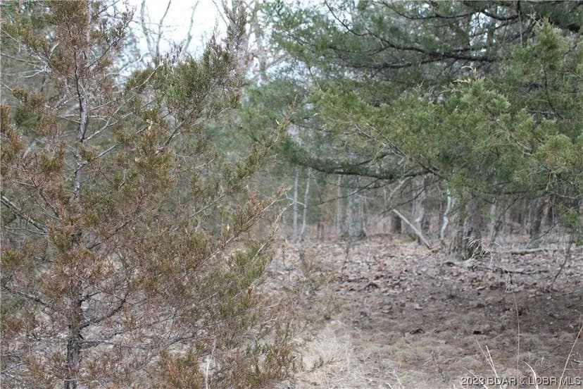 Lots & Land-Other in Edwards