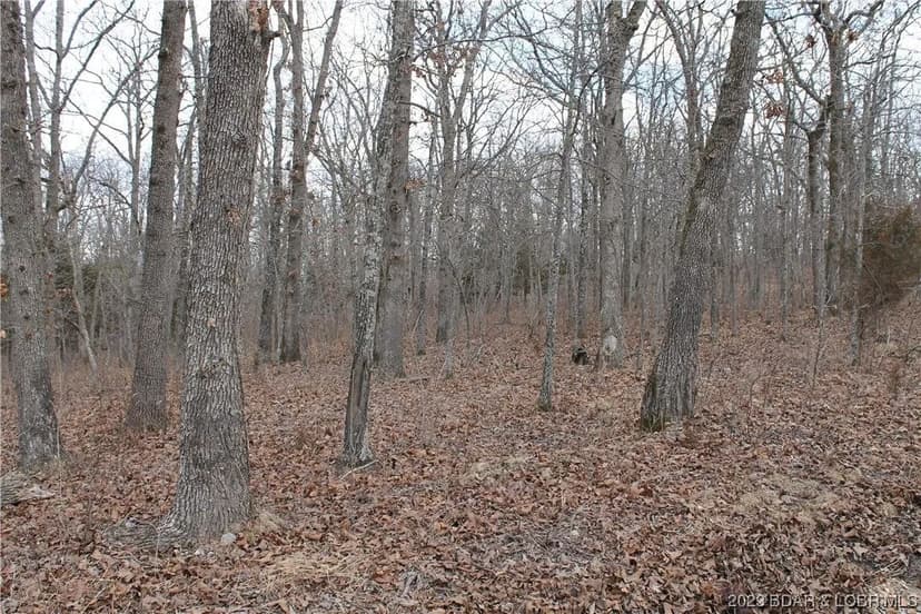 Lots & Land-Other in Edwards