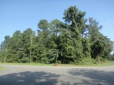 Lots & Land-Other in Eufaula