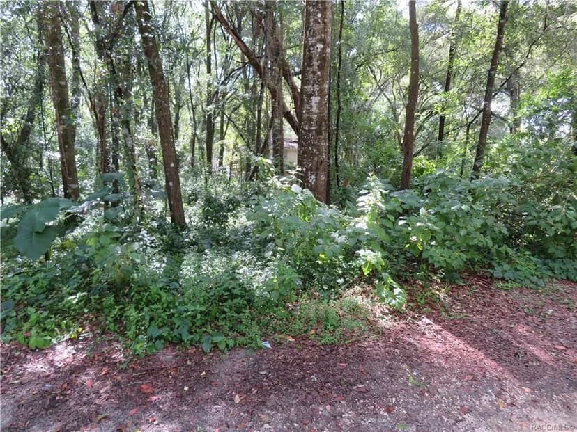 Lots & Land-Other in Inverness