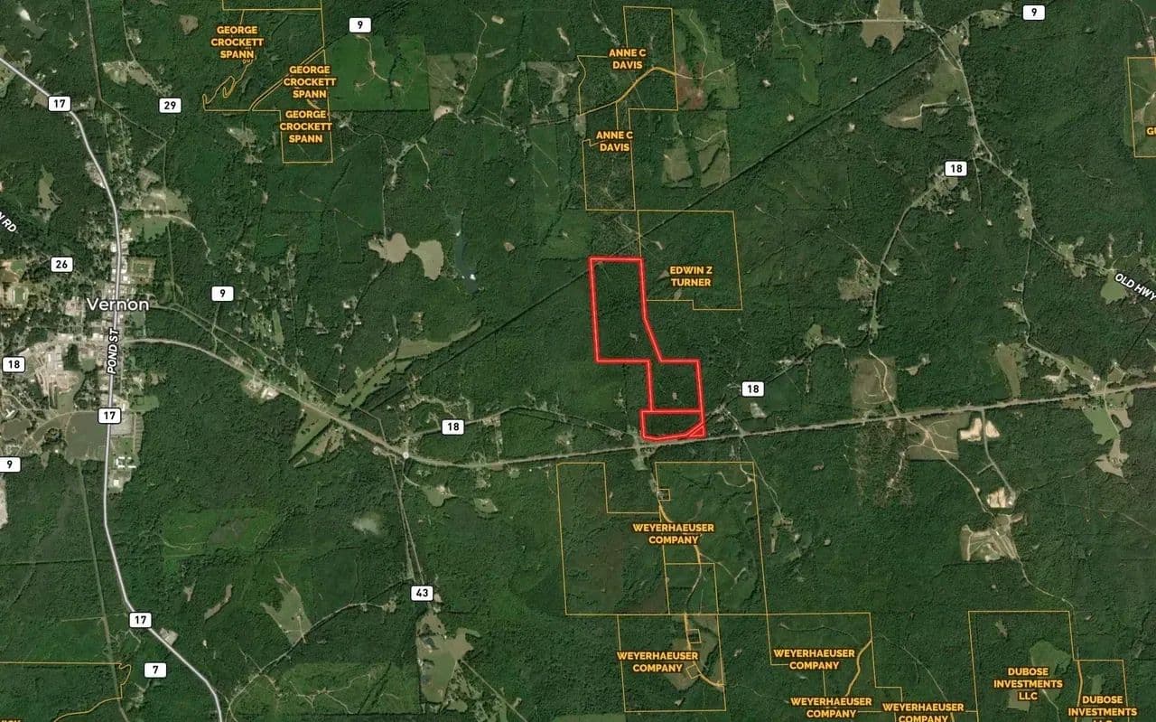 +/- 150 Acres - Vernon Alabama - Vernon, Alabama, 35592