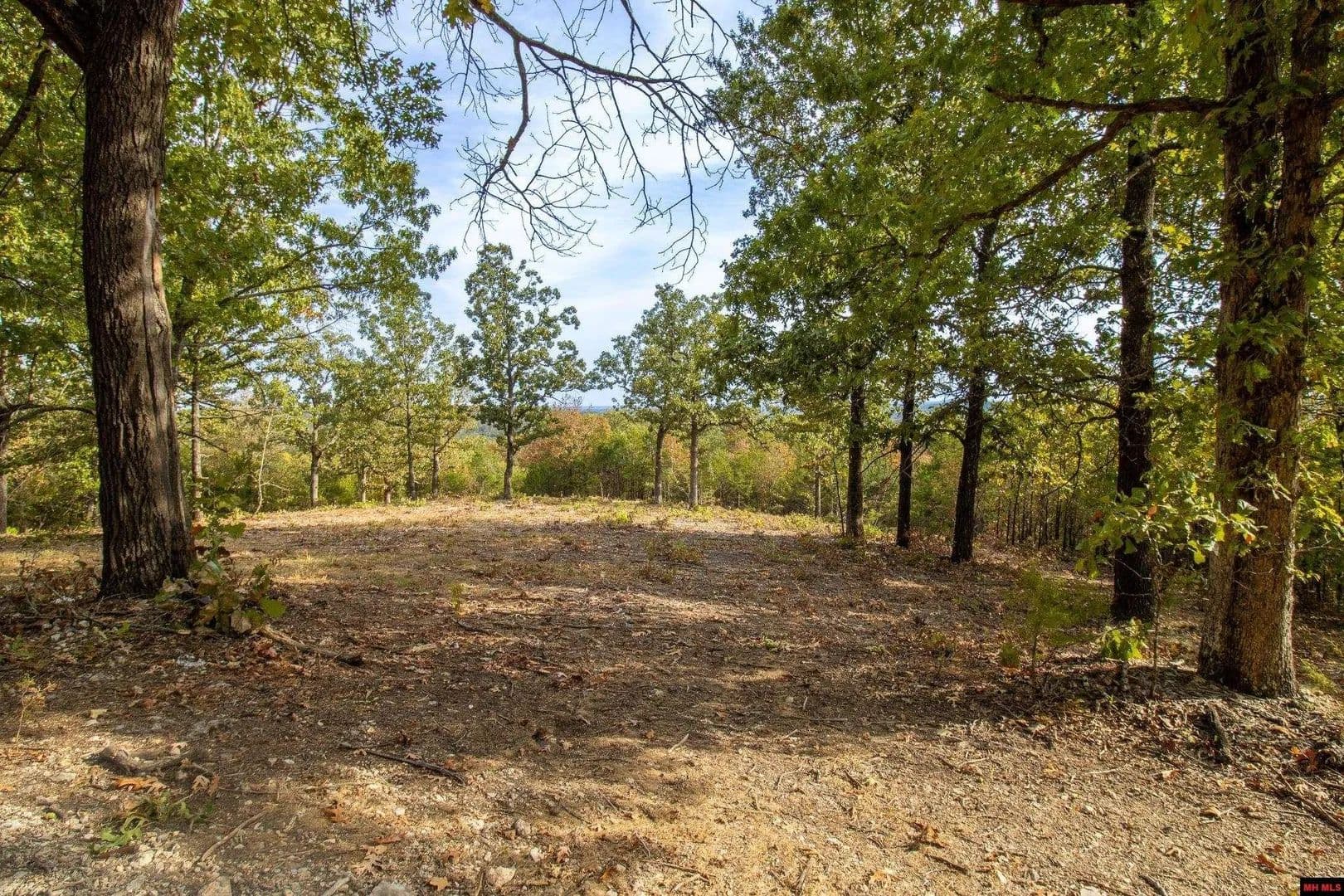 Lots & Land-Other in Mountain Home - Mountain Home, Arkansas, 72653