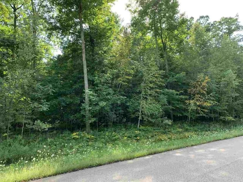 Land -Single Family Acreage in SHAWANO