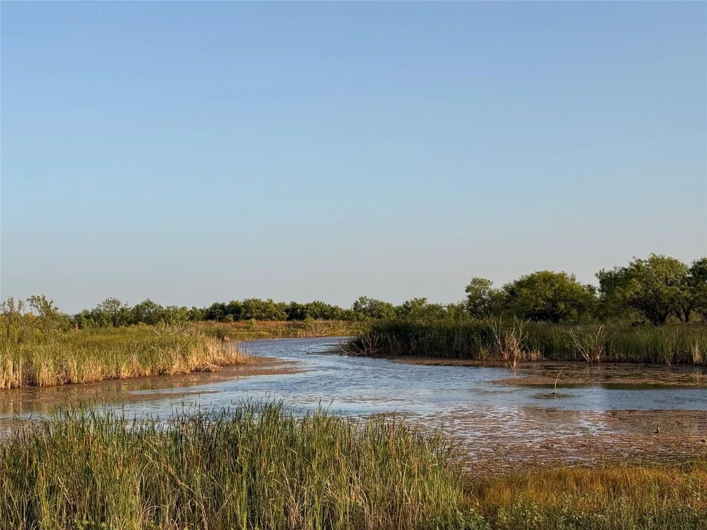 New Listing!!!421.03+/- Ac & Cabin, Taylor County - Ovalo, Texas, 79567