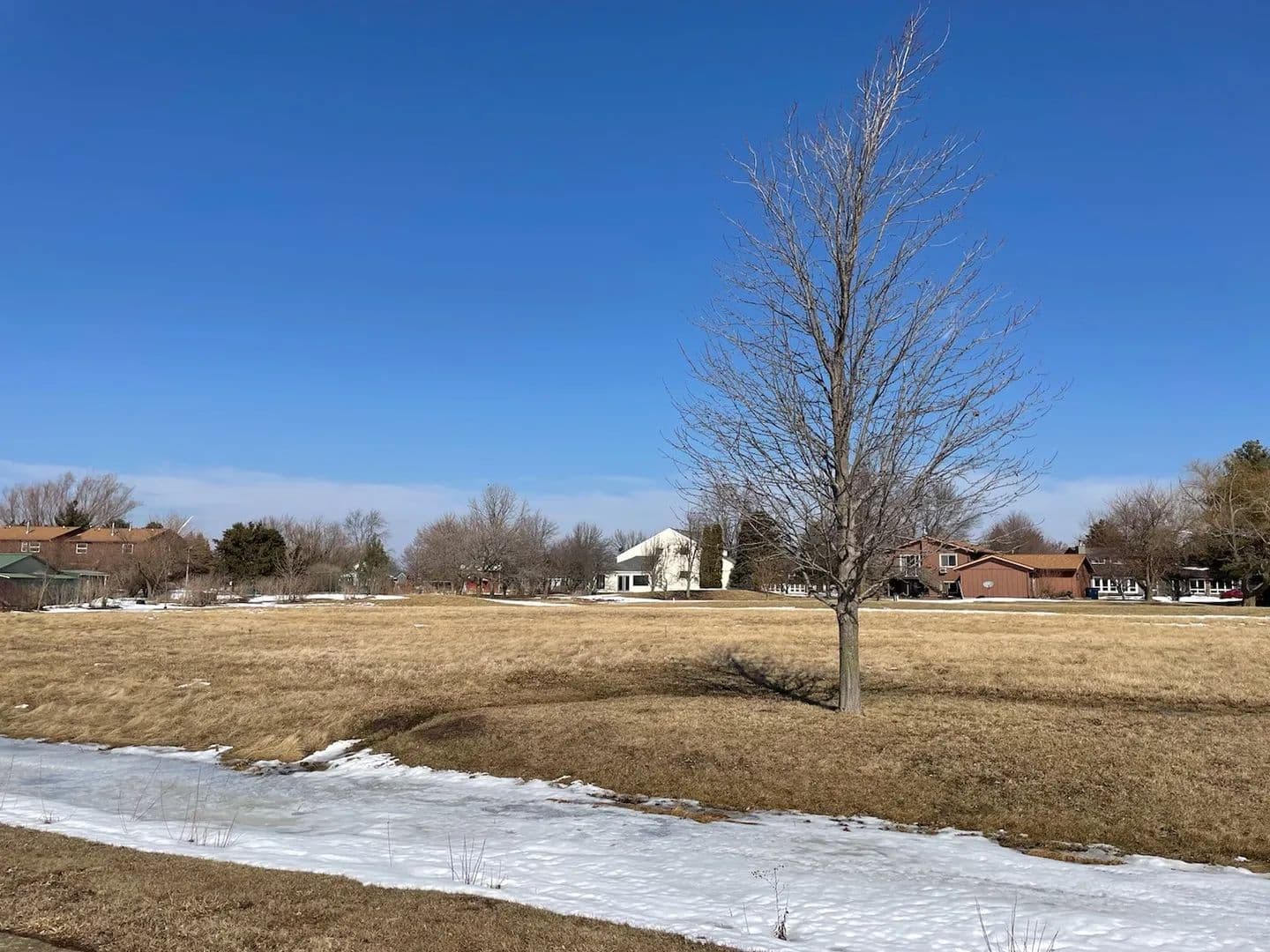 Vacant Land in Cabery - Cabery, Illinois, 60919