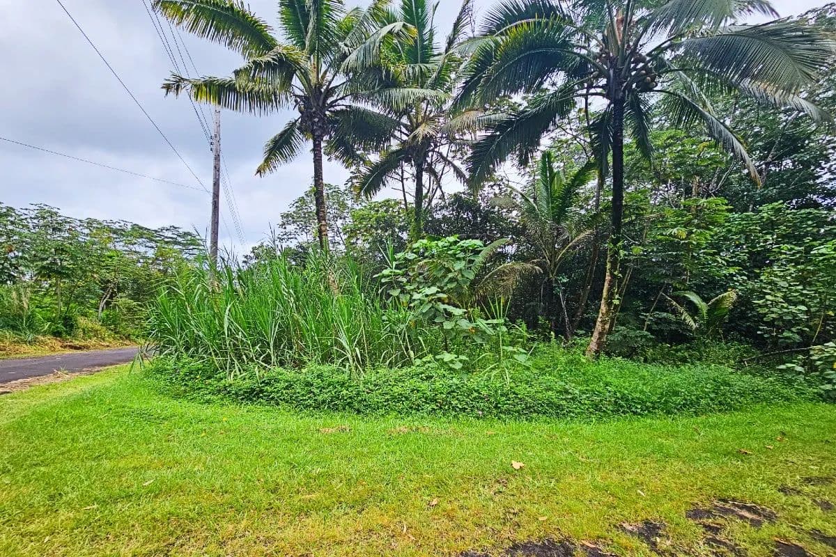 Vacant Land in Pahoa - Pahoa, Hawaii, 96778