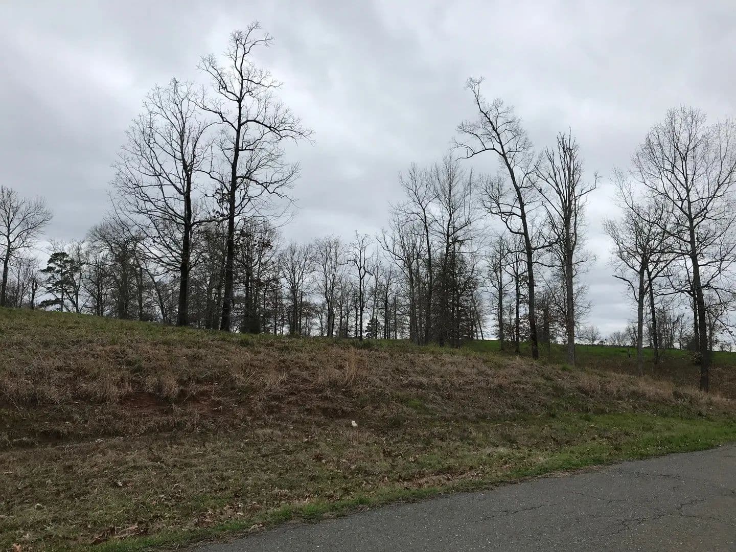 Vacant Land in Many - Many, Louisiana, 71449