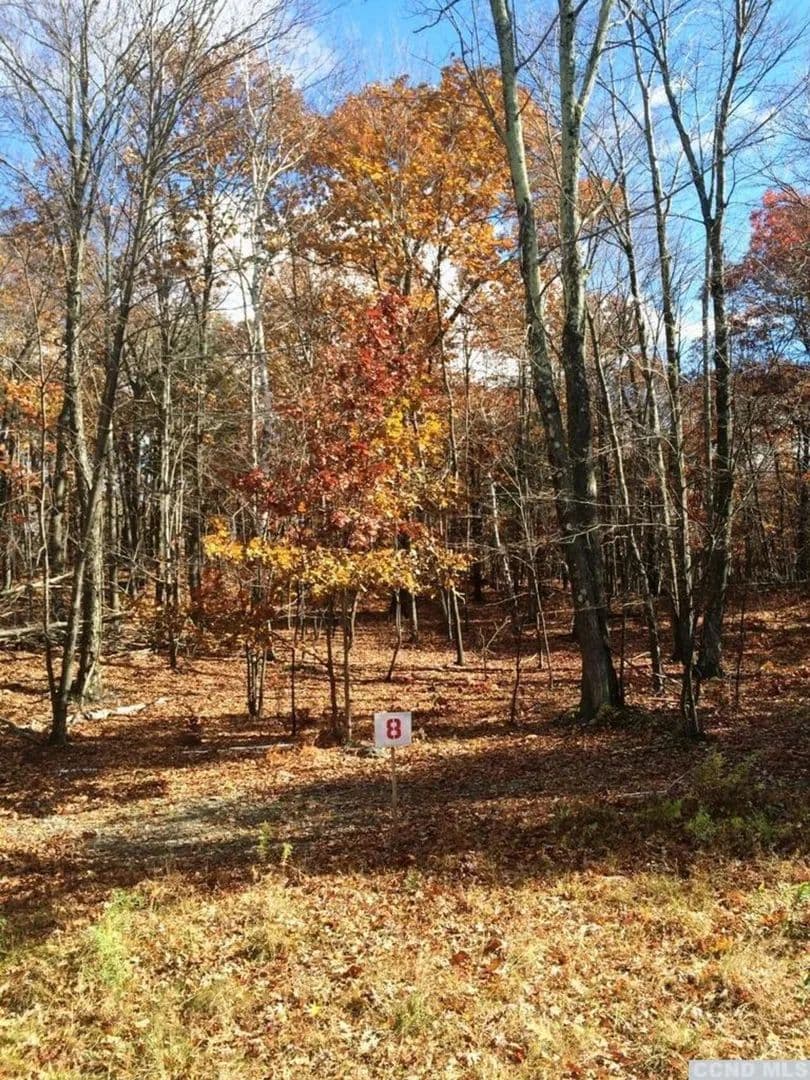 Vacant Land in Copake