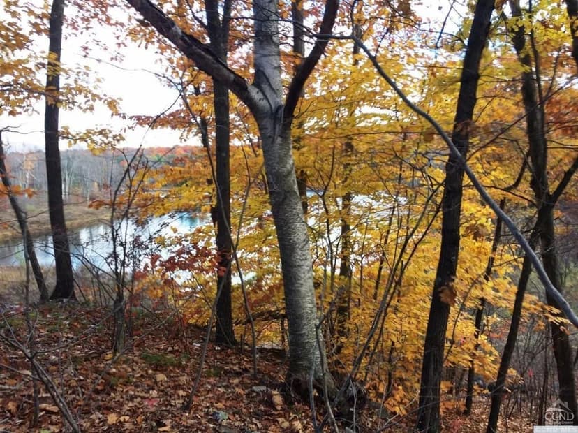 Vacant Land in Copake