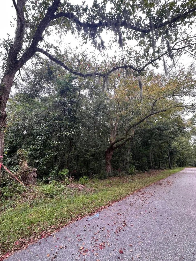 Lots & Land-Other in Mount Pleasant