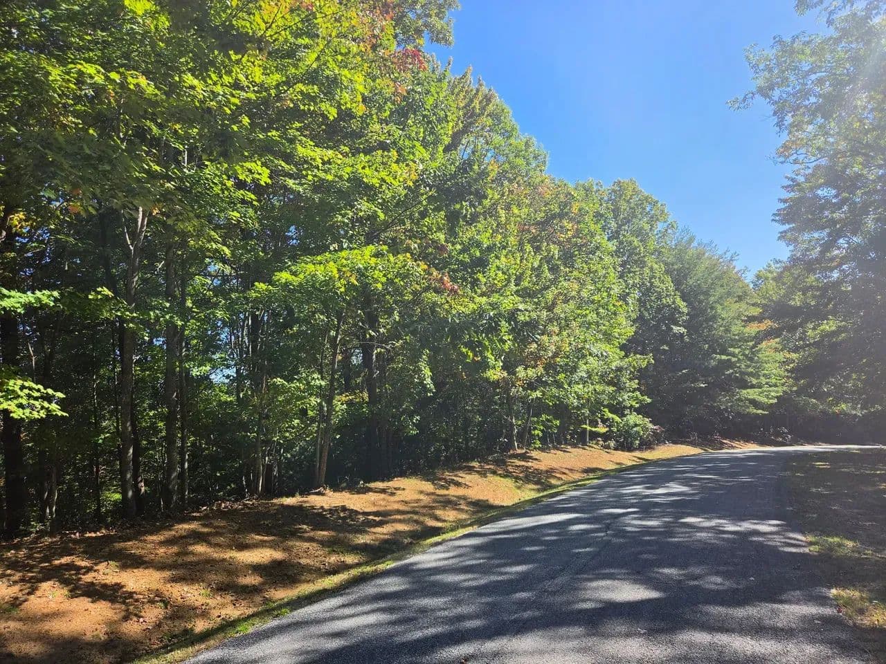 +/-21.8ac - 29 Elk Ridge Rd #EH29 Ferguson, NC - Wilkes Co - Ferguson, North Carolina, 28624