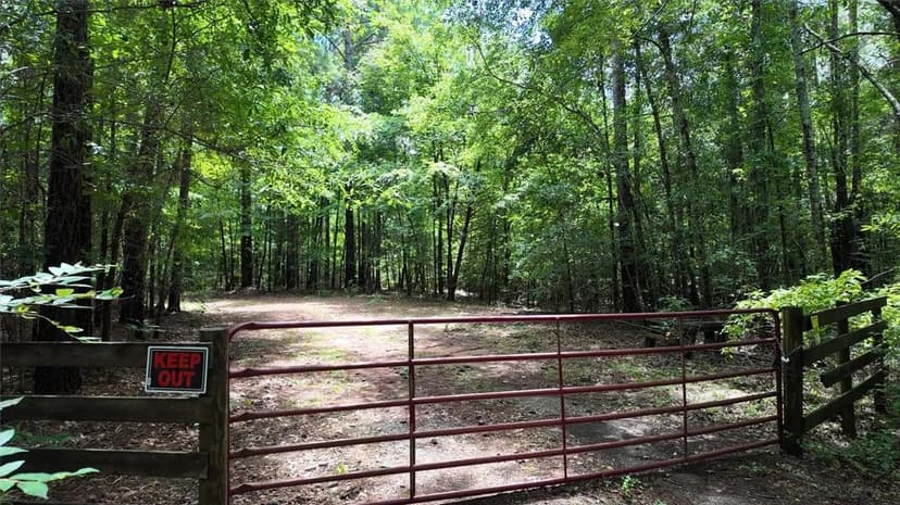 Vacant Land in Elberton