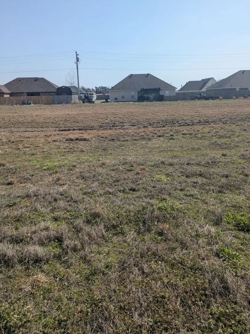 Vacant Land in Manila - Manila, Arkansas, 72442