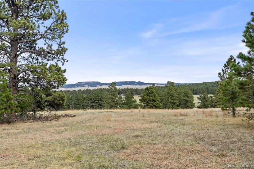 Vacant Land in Elbert