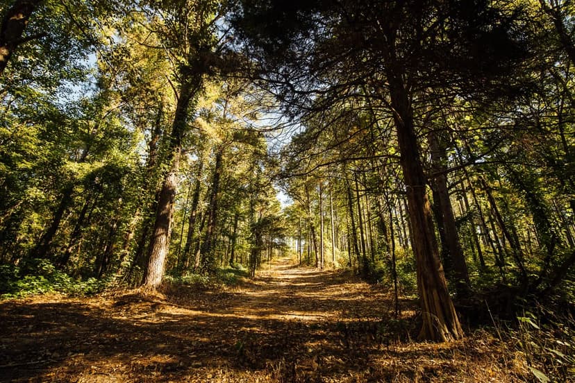 1,884.4 Acres in Marshall County, MS