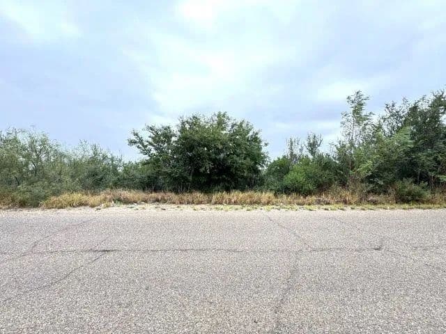 Vacant Land in Zapata