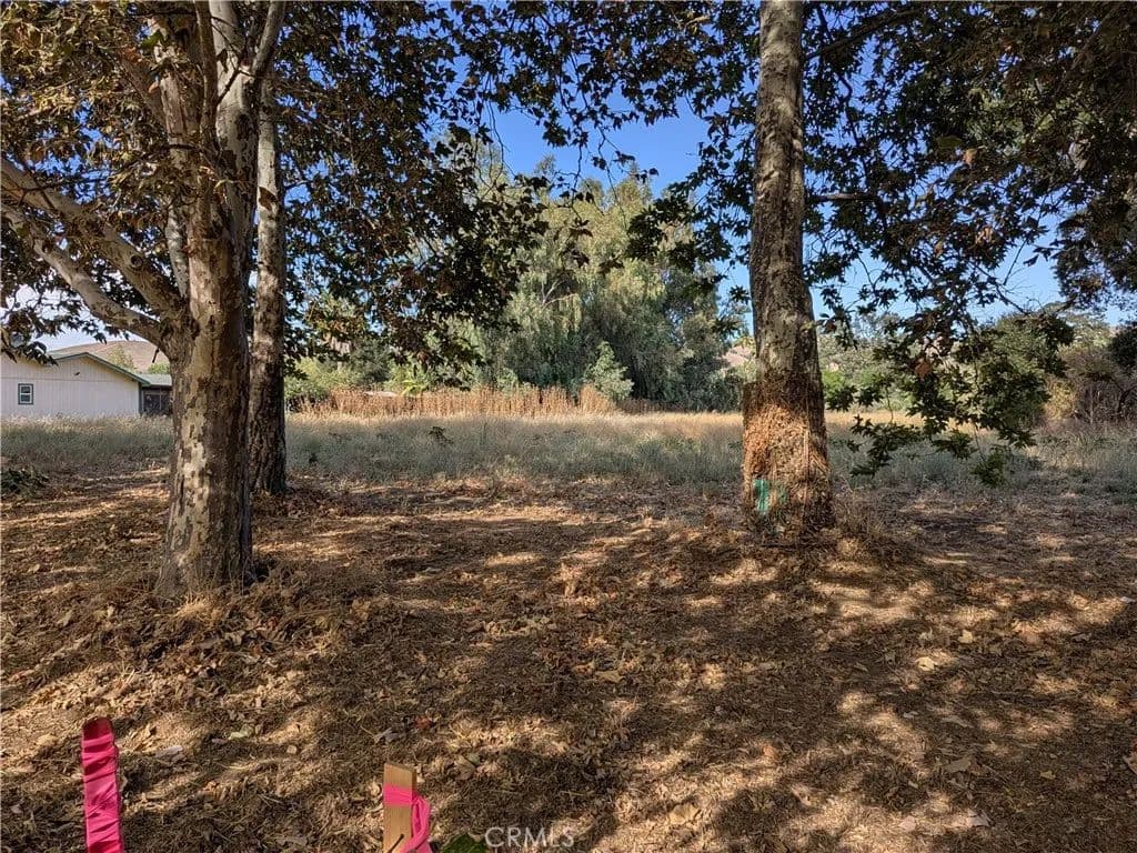 Vacant Land in Atascadero - Atascadero, California, 93422