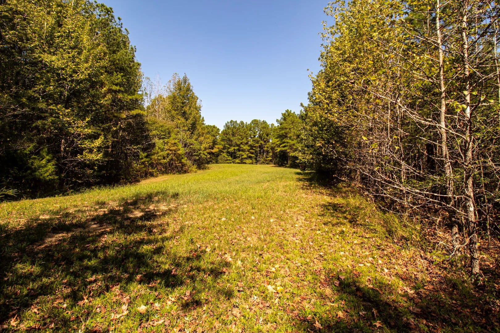 108.05 Acres in Hardeman County, TN  - Toone, Tennessee, 38381