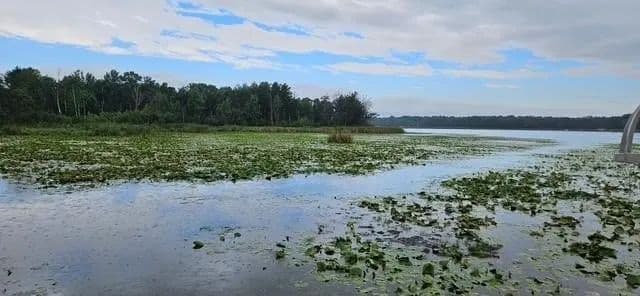 Lots & Land-Other in Baxter - Baxter, Minnesota, 56425