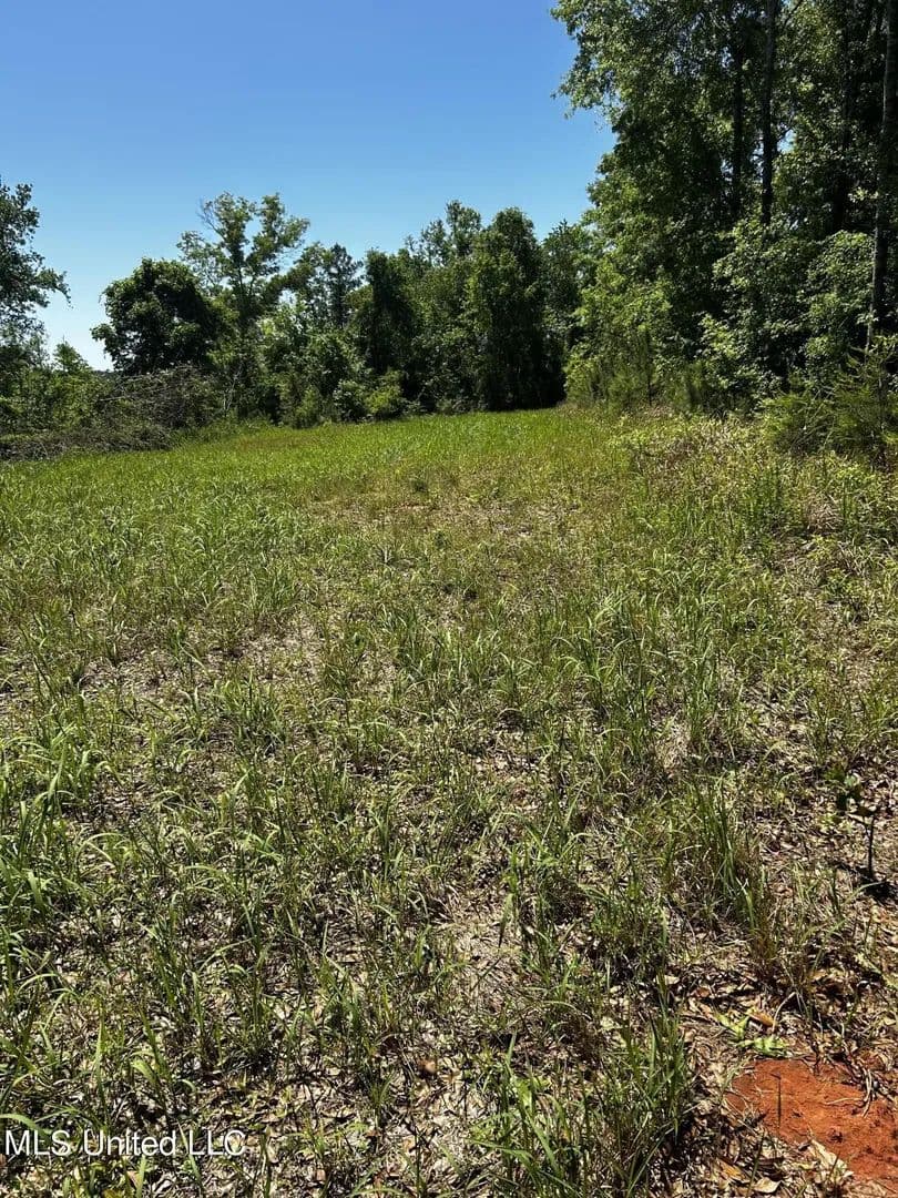 Lots & Land-Other in Lucedale