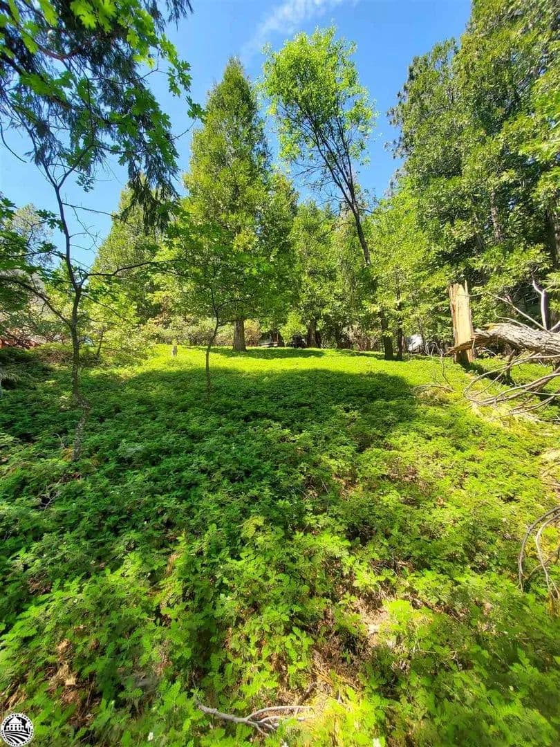 Lots & Land-Other in Mi Wuk Village