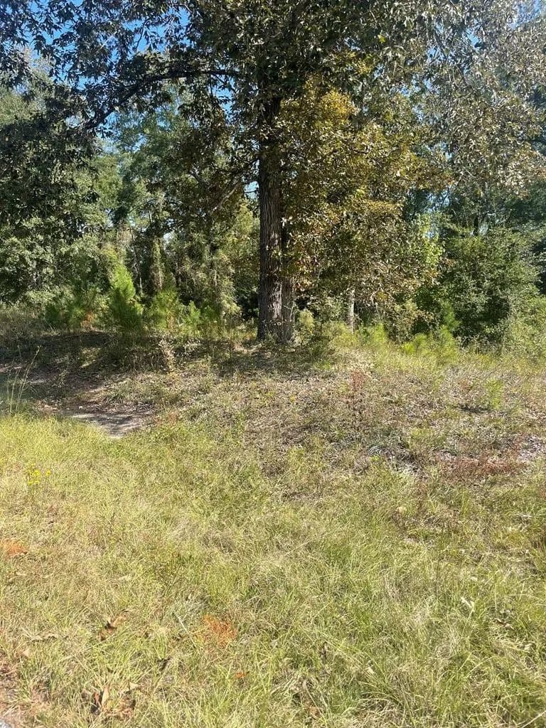 Lots & Land-Other in Bainbridge