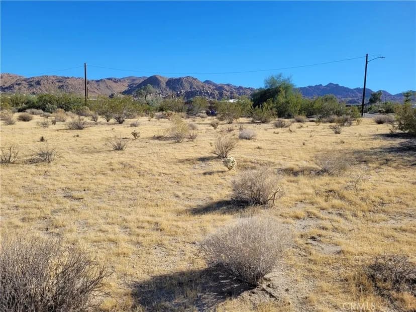 Lots & Land-Other in Joshua Tree