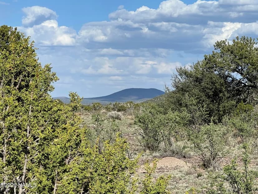 Lots & Land-Other in Williams