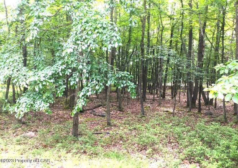 Lots & Land-Other in Hazle Twp