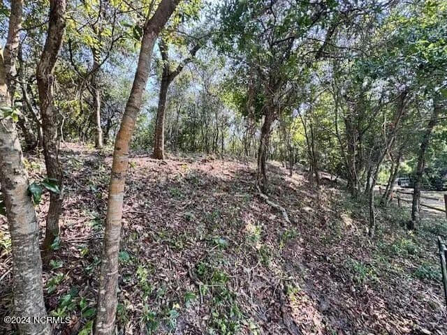 Lots & Land-Other in Surf City