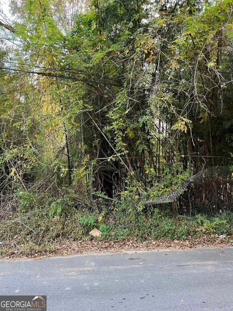 Vacant Land in Atlanta