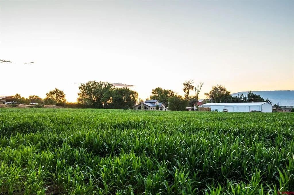 75 Acres of Land for Sale in Olathe, CO - Olathe, Colorado, 81425