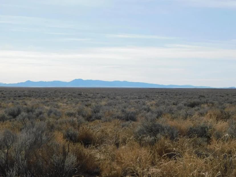 Land -Single Family Acreage in Belen