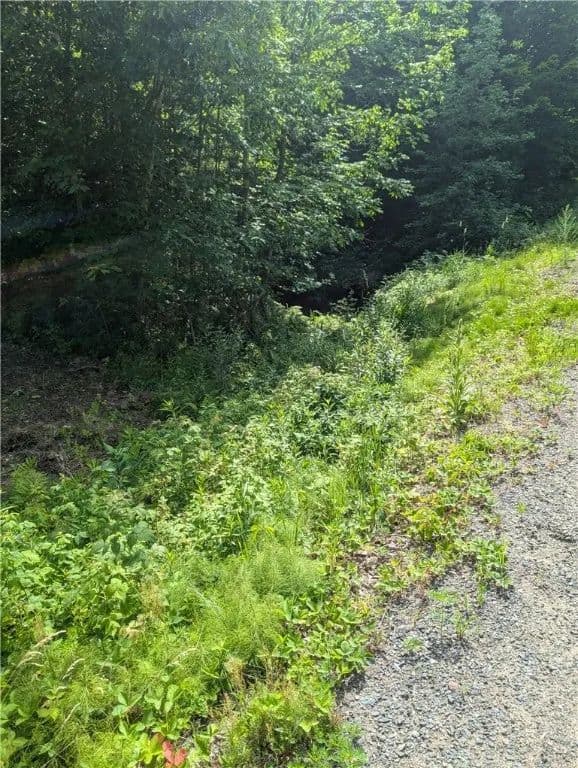 Property from Lot 1 165th Avenue - KW