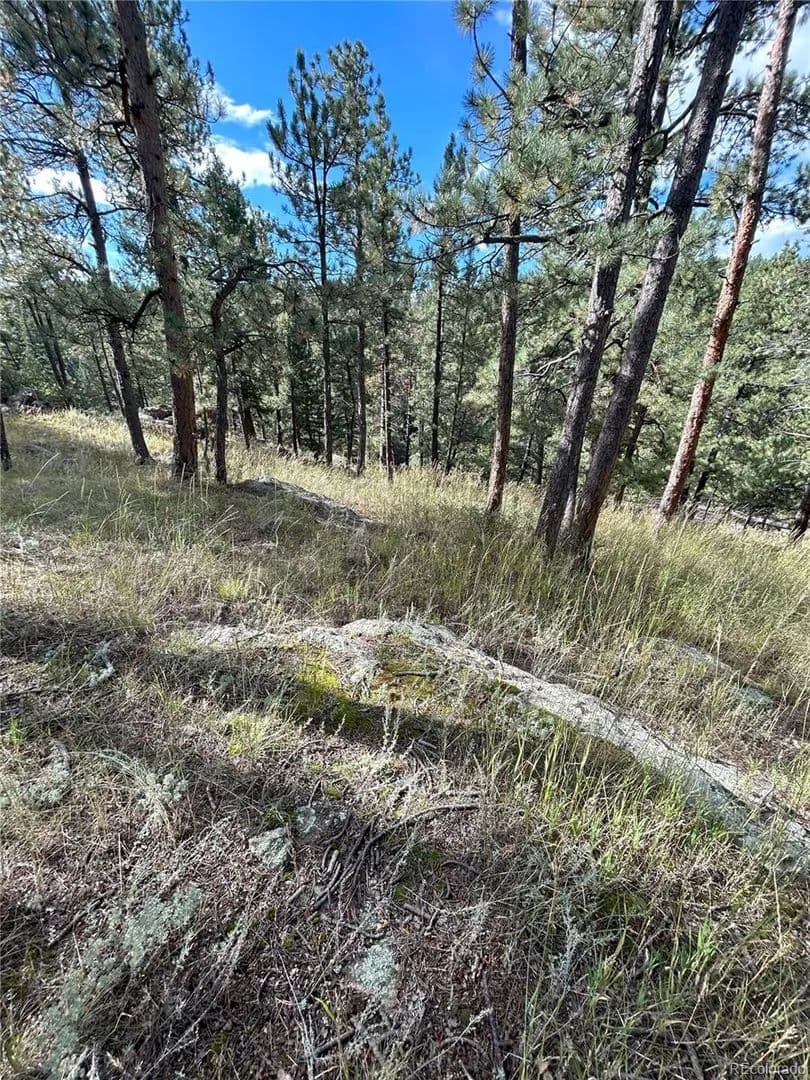 Vacant Land in Evergreen