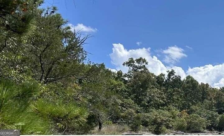 Lots & Land-Other in Conyers - Conyers, Georgia, 30012