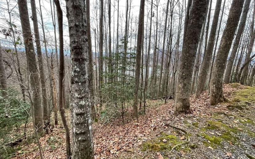 Lots & Land-Other in Hiawassee