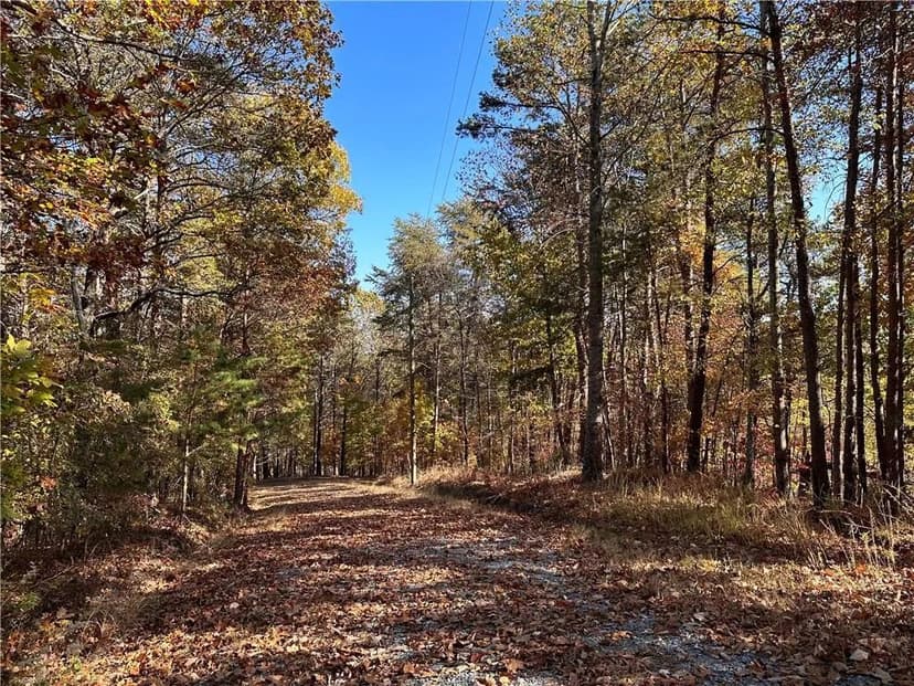 Vacant Land in Ranger