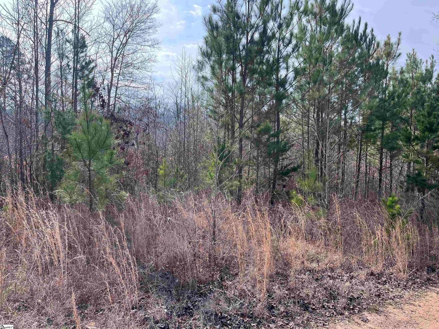 Vacant Land in Fair Play - Fair Play, South Carolina, 29643